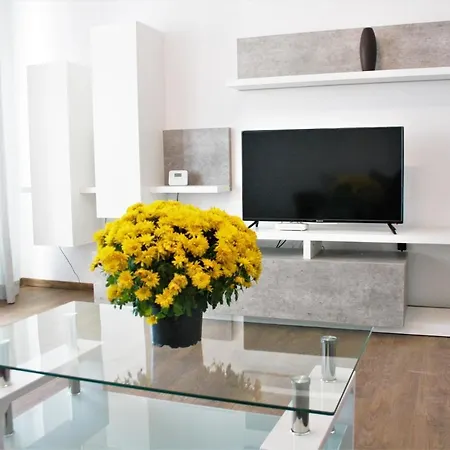 Contemporary Vibe - Paris 3 Apartman Kolozsvár